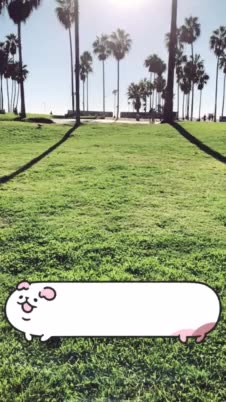 hahahahaha Buscar Criadores, Filtros e Lentes no Snapchat