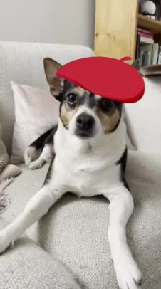 doggy | Search Snapchat Creators, Filters and Lenses