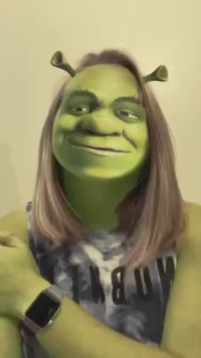 Shrek meme face