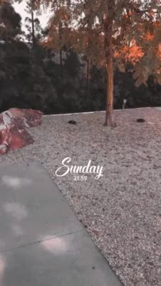 MODDY DAY-TIME